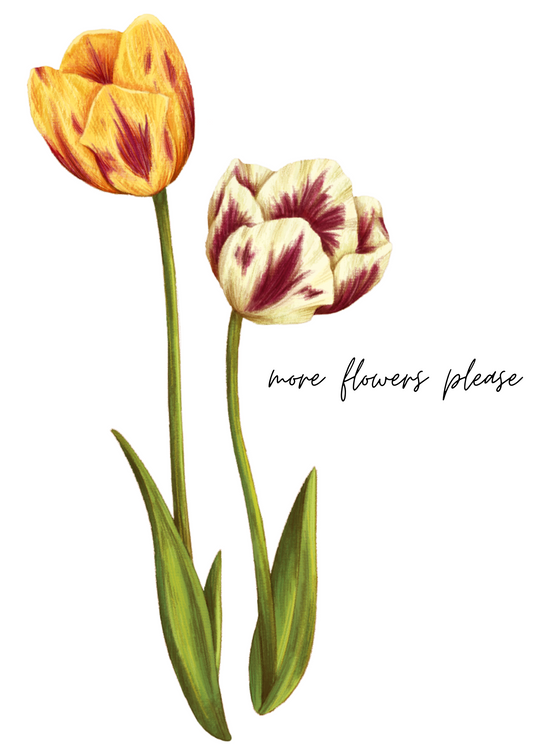 Lámina MORE FLOWERS PLEASE